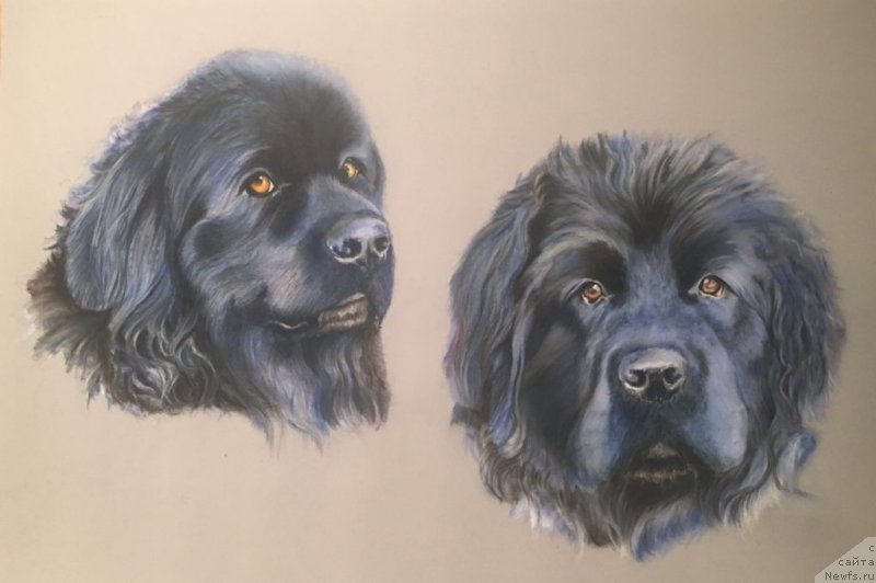 Фотография № 238401