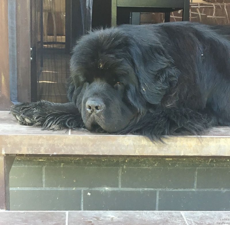 Фотография № 238403