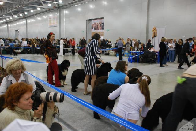 Фотография № 23842