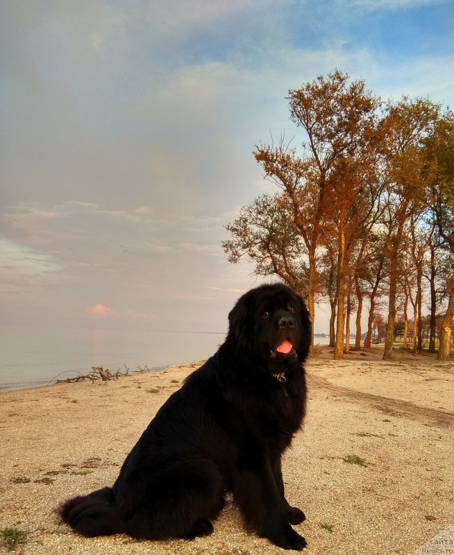 Фотография № 238422