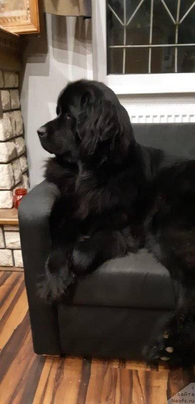 Фотография № 238448