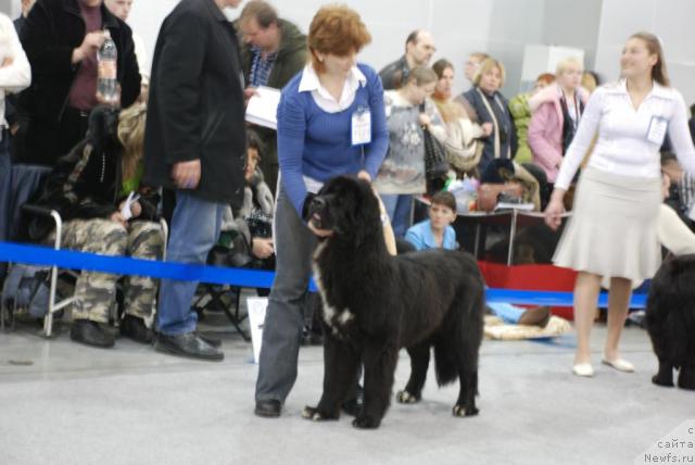 Фотография № 23845