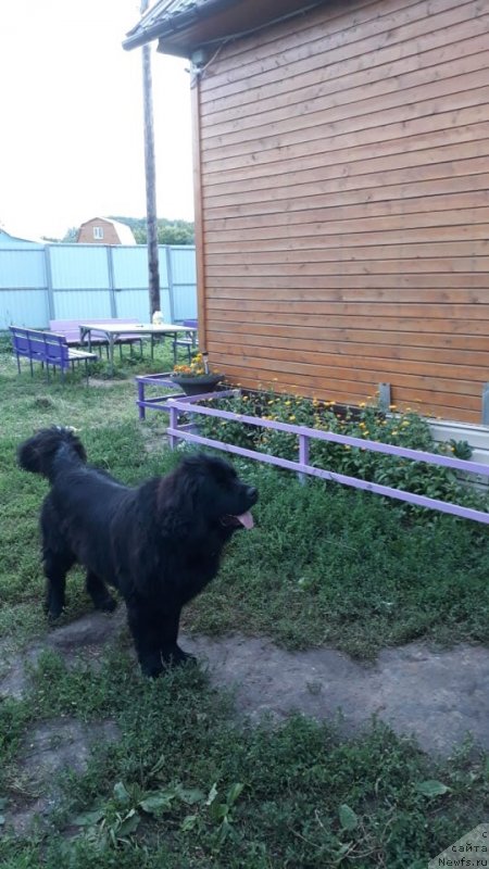 Фотография № 238450