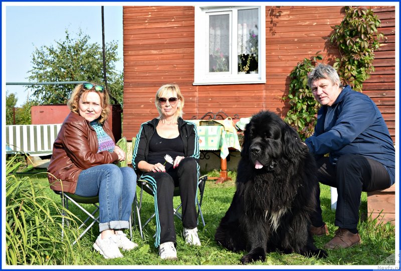 Фотография № 238452