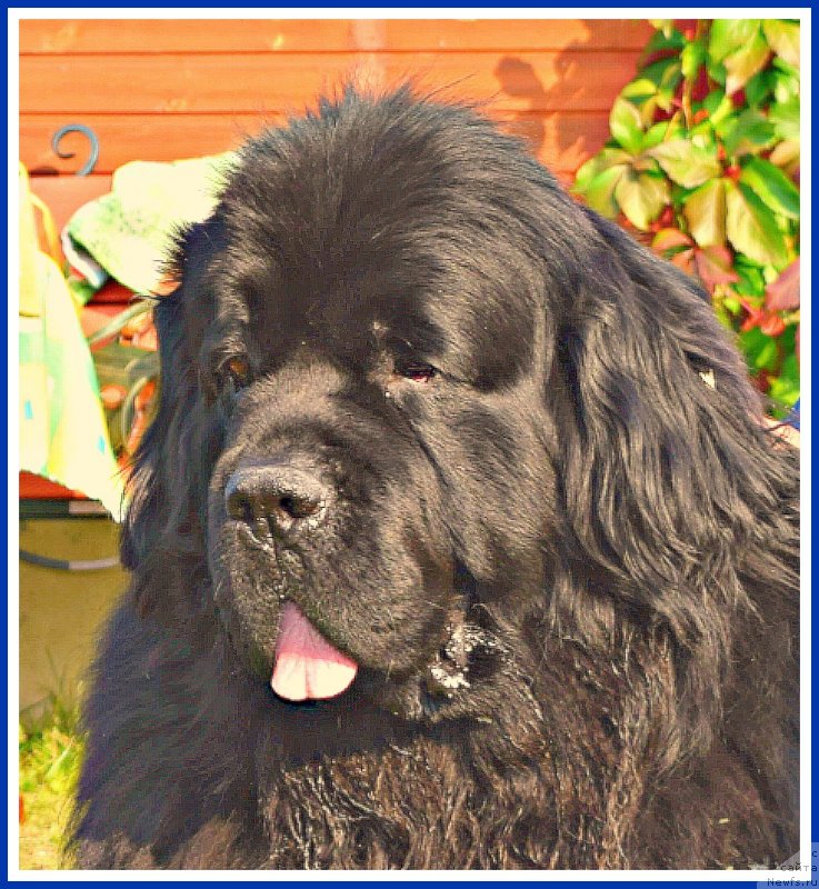 Фотография № 238458