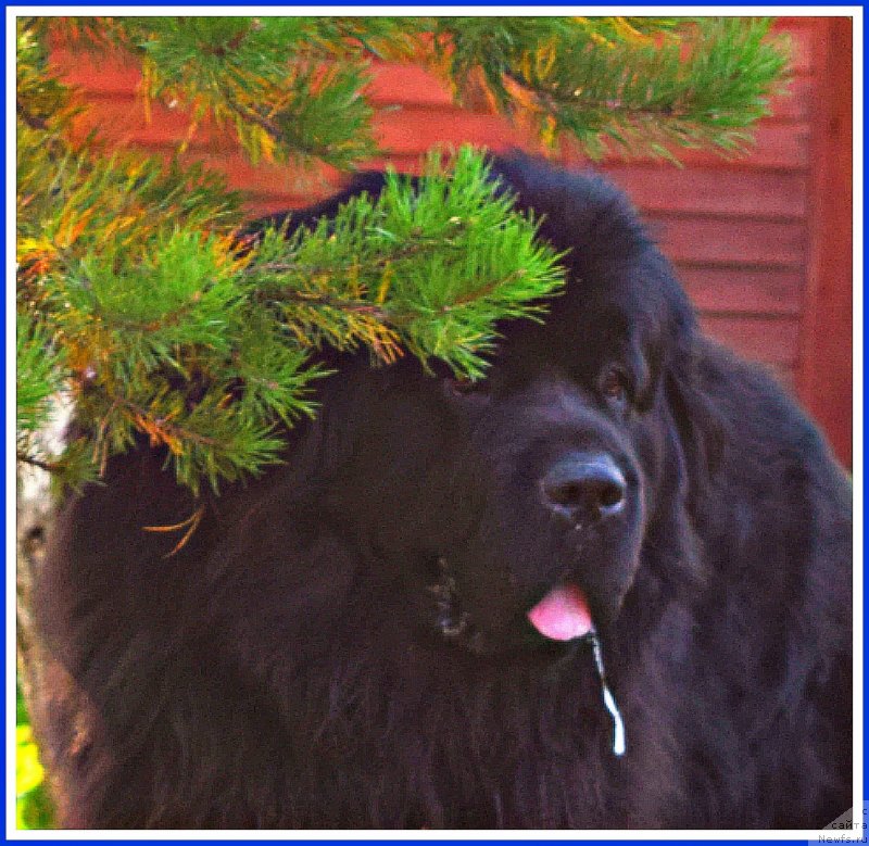 Фотография № 238460