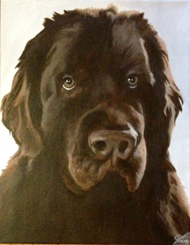 Фотография № 238499