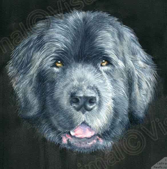 Фотография № 238541