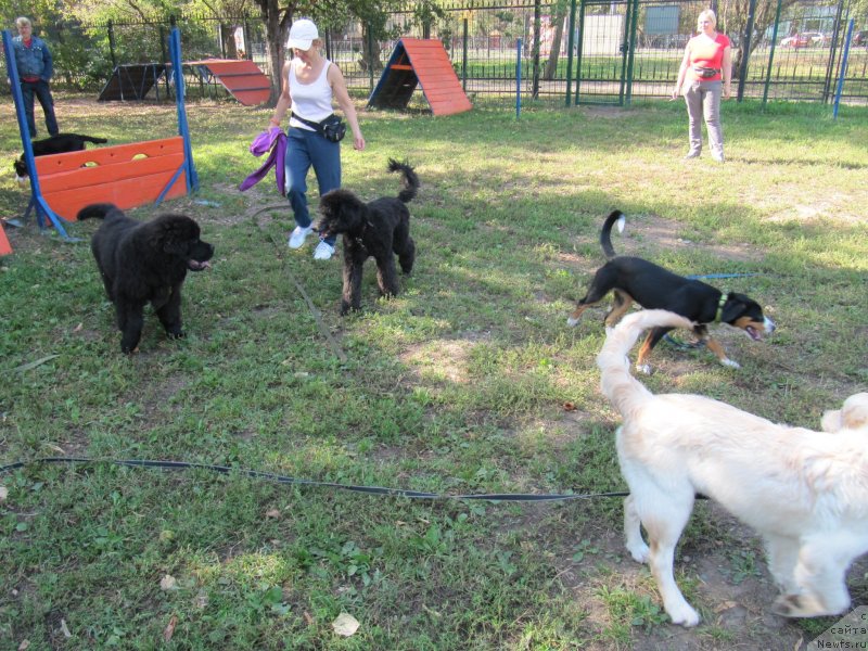 Фотография № 238566