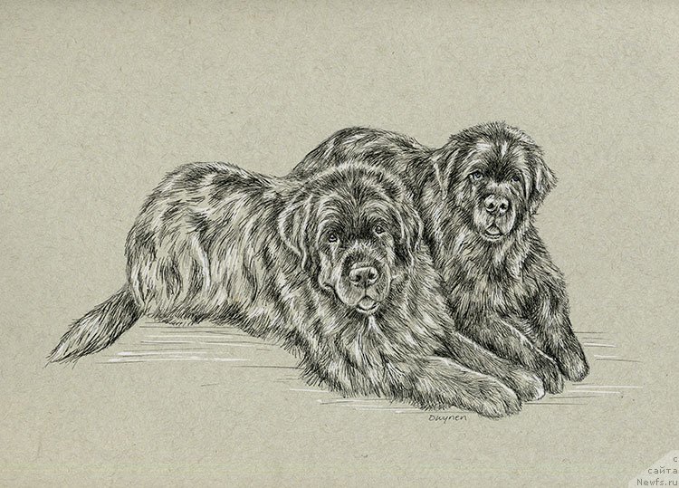 Фотография № 238592