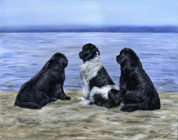 Фотография № 238595