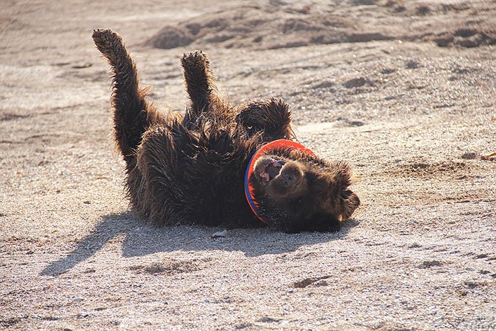 Фотография № 238601