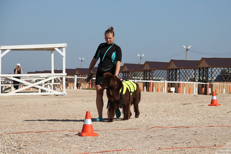 Фотография № 238605