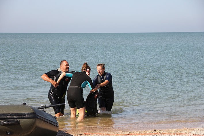 Фотография № 238610