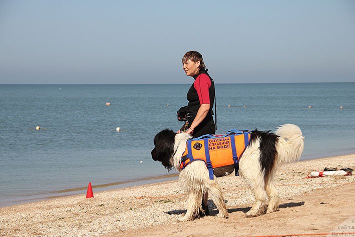 Фотография № 238614