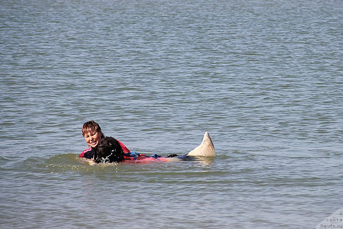 Фотография № 238615