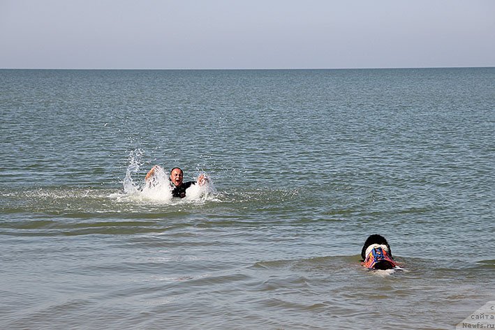 Фотография № 238616