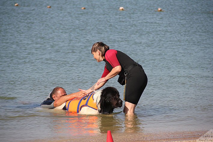 Фотография № 238617