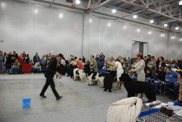 Фотография № 23862