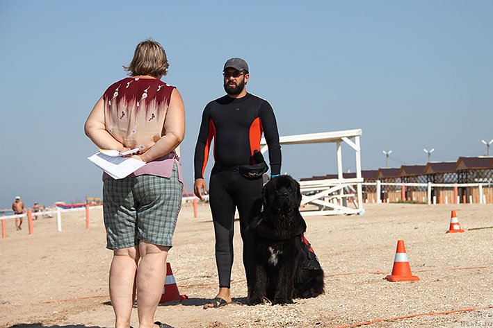 Фотография № 238620