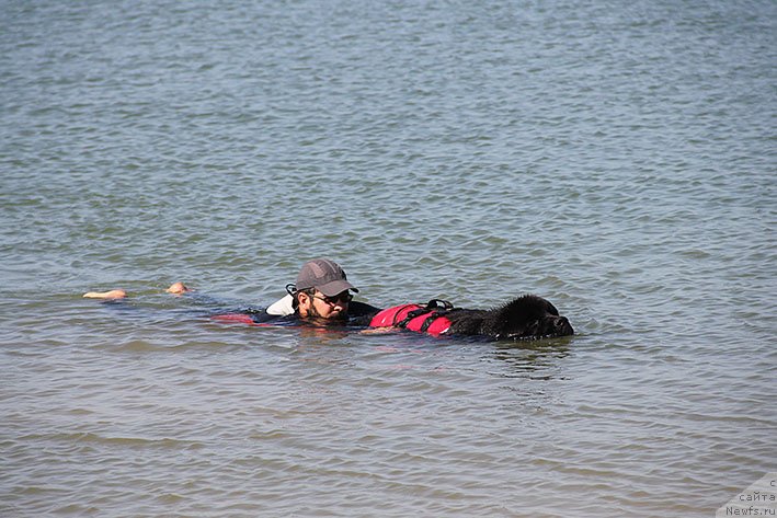 Фотография № 238622