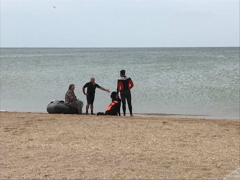 Фотография № 238624