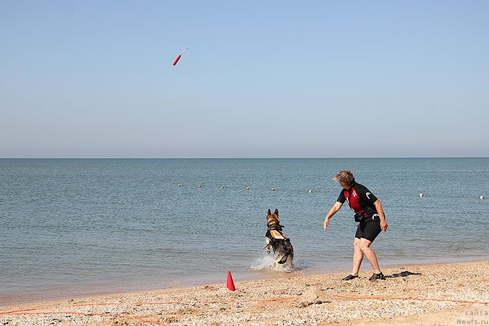 Фотография № 238630