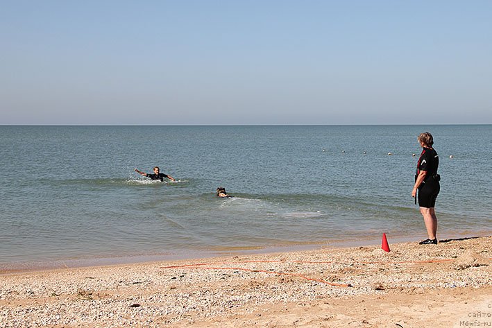 Фотография № 238633