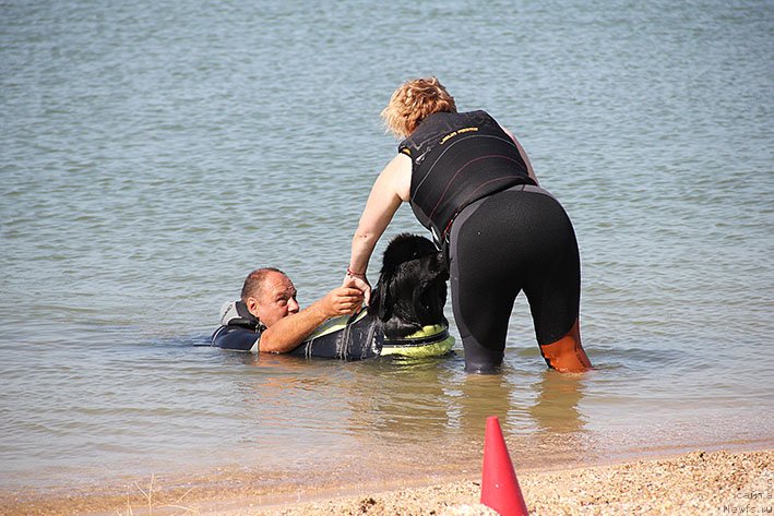 Фотография № 238644