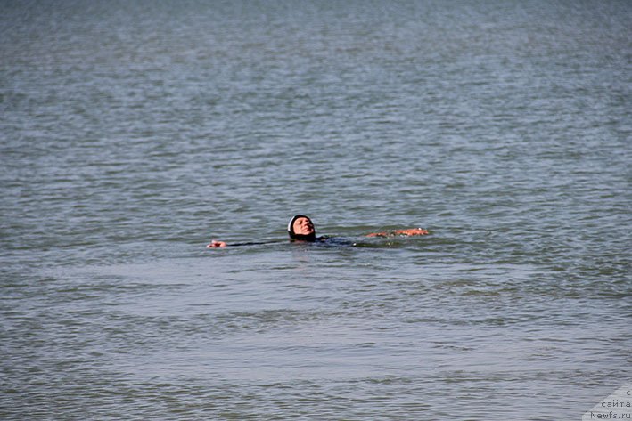 Фотография № 238655