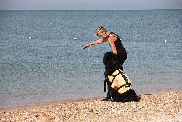 Фотография № 238656