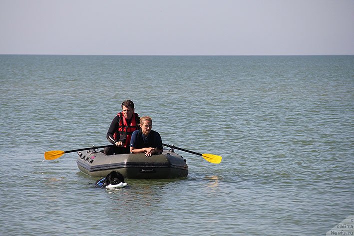 Фотография № 238658