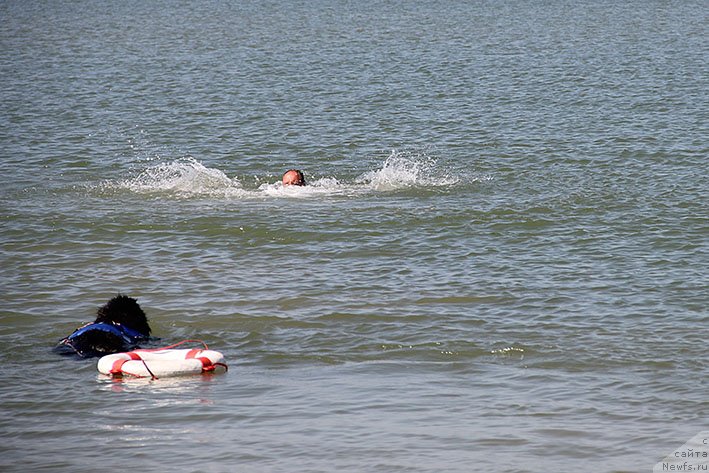 Фотография № 238662