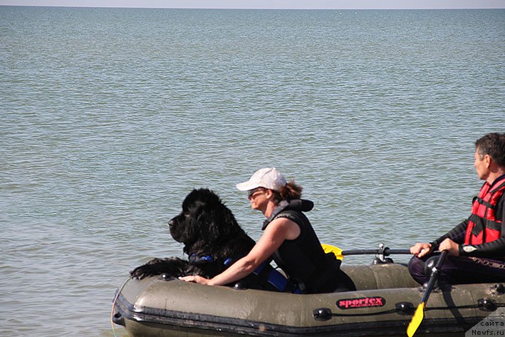 Фотография № 238663