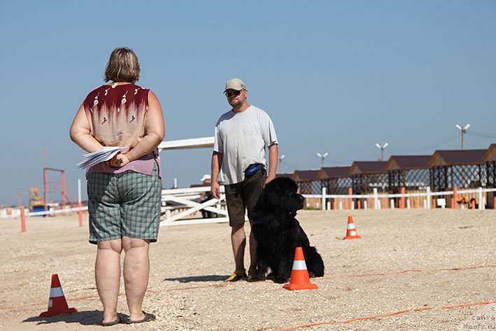 Фотография № 238666