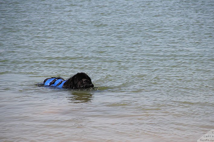 Фотография № 238667