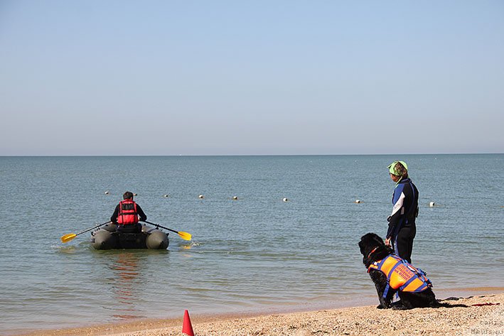 Фотография № 238669