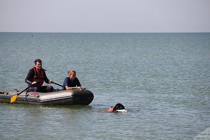 Фотография № 238672