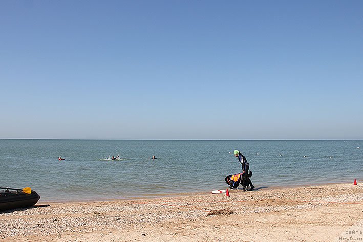 Фотография № 238673