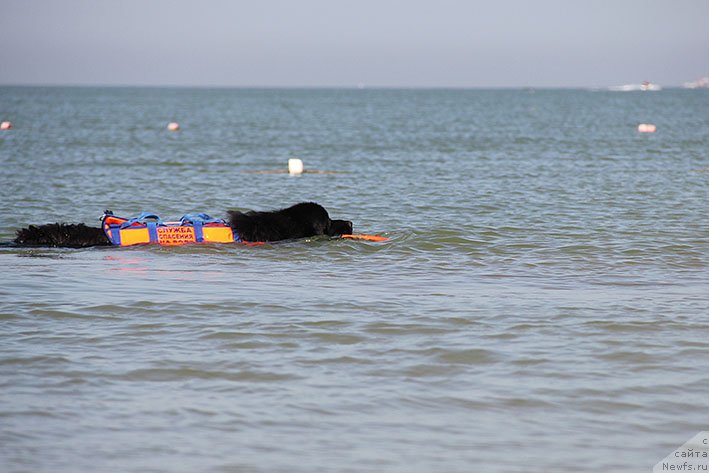 Фотография № 238676