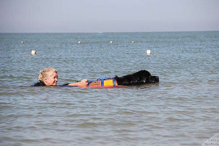 Фотография № 238677