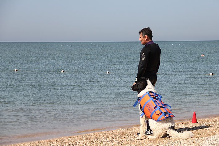 Фотография № 238681