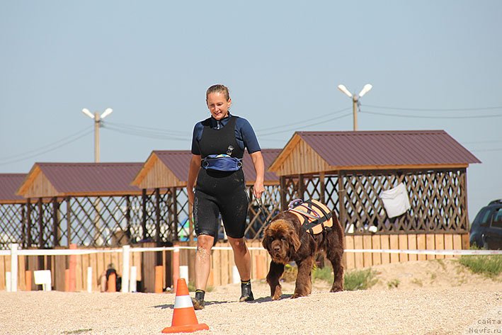 Фотография № 238684