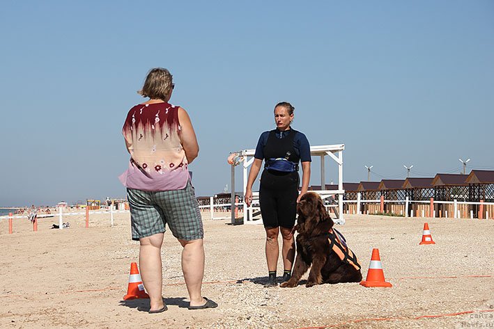 Фотография № 238685