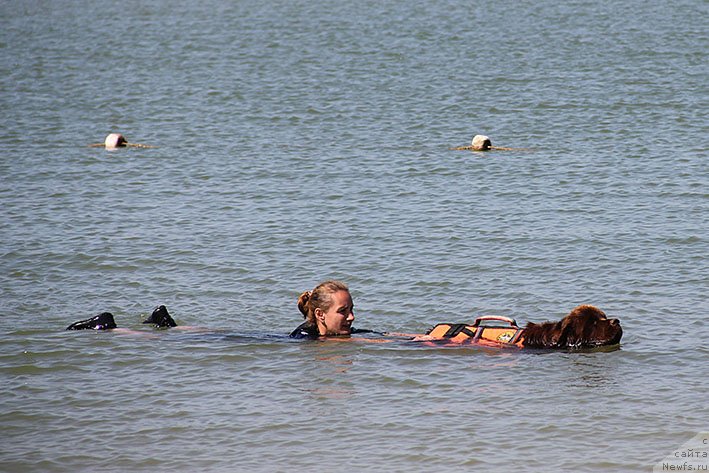 Фотография № 238688