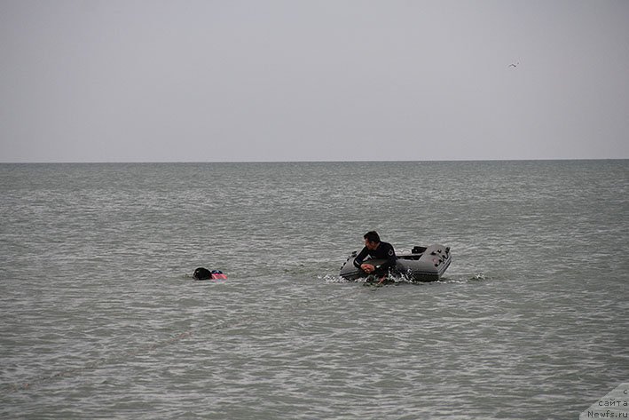 Фотография № 238692