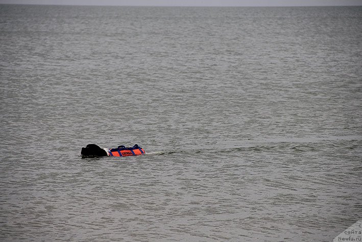 Фотография № 238693