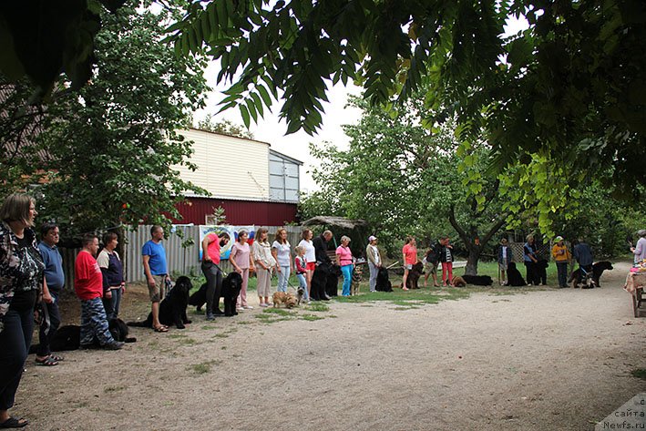 Фотография № 238696