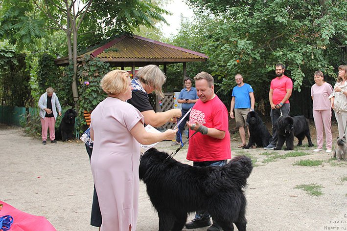 Фотография № 238699