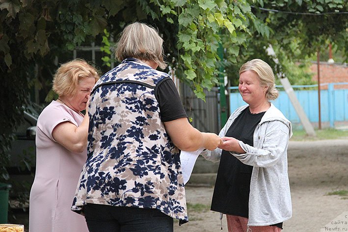 Фотография № 238703